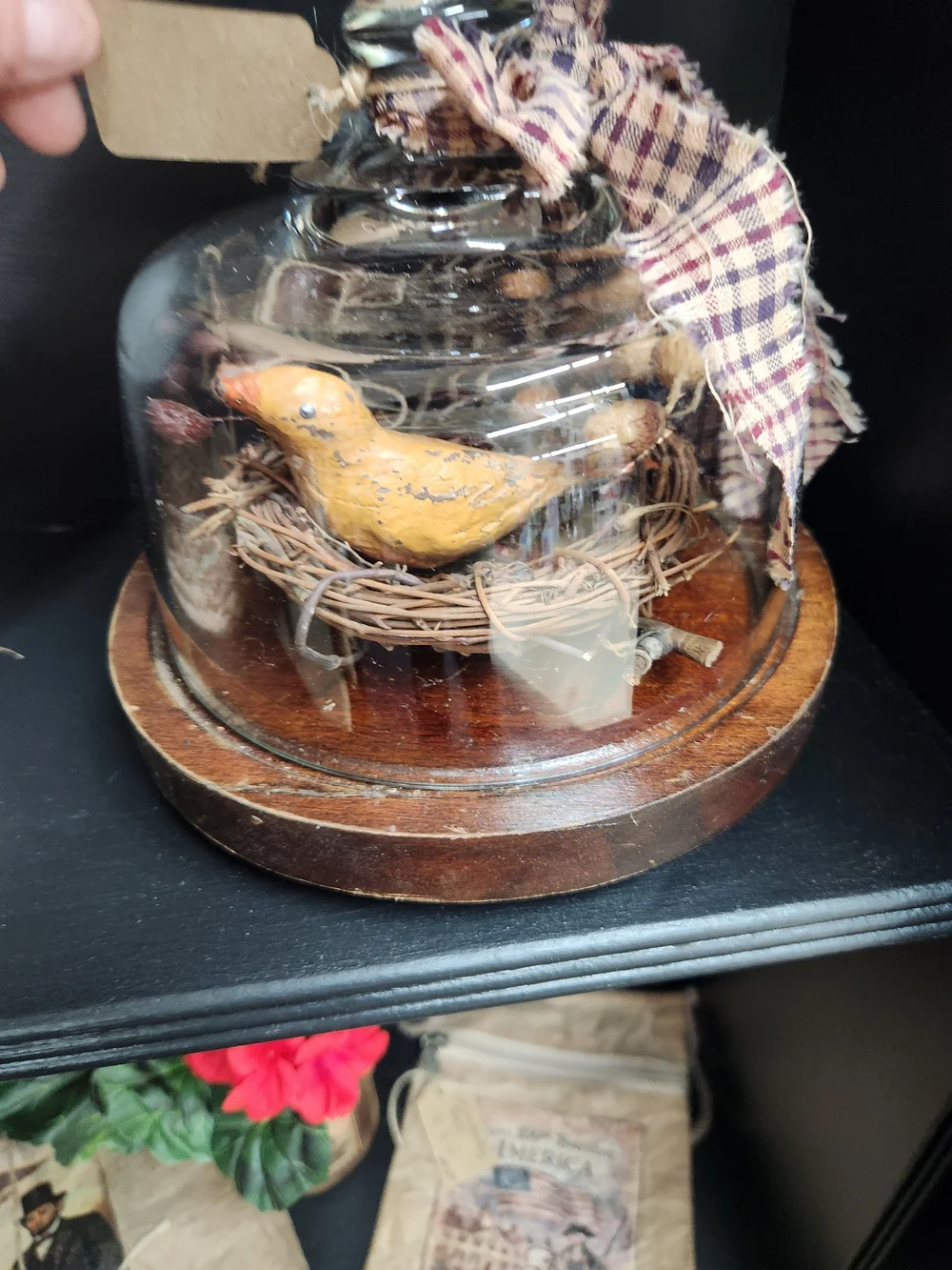 Yellow Decorative Bird Ornament in Glass Cloche